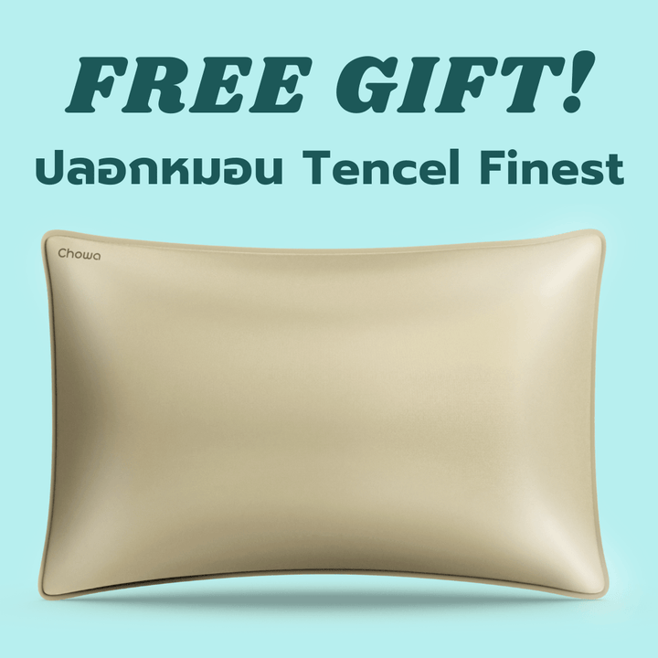 Free ปลอกหมอน Tencel Finest (สุ่มสี) - Chowa