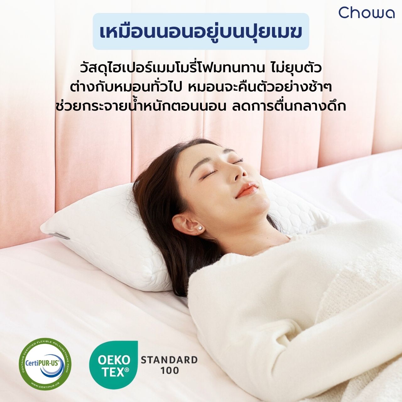 หมอนพกพา All - Around - Chowa