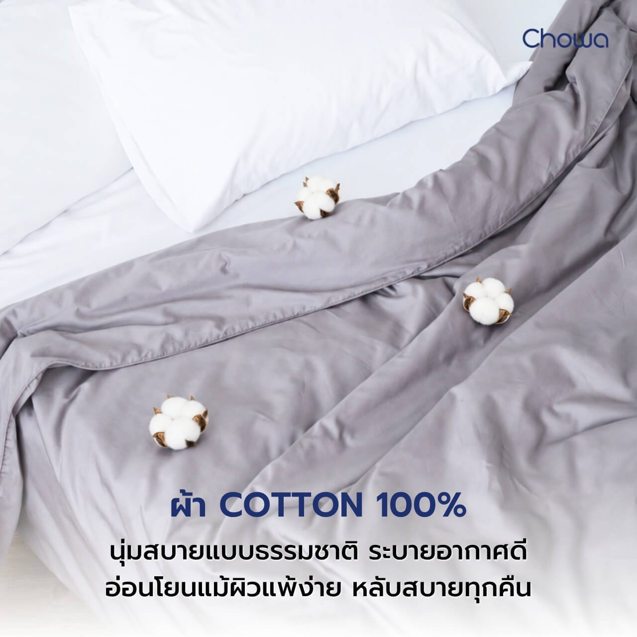 ปลอกผ้านวม Cotton รุ่น Terra - Chowa