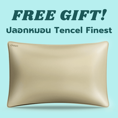 Free ปลอกหมอน Tencel Finest (สุ่มสี) - Chowa