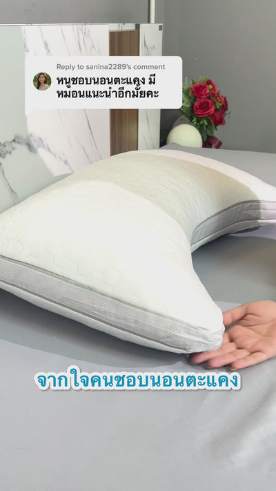 ช้อปหมอนลูน่า →