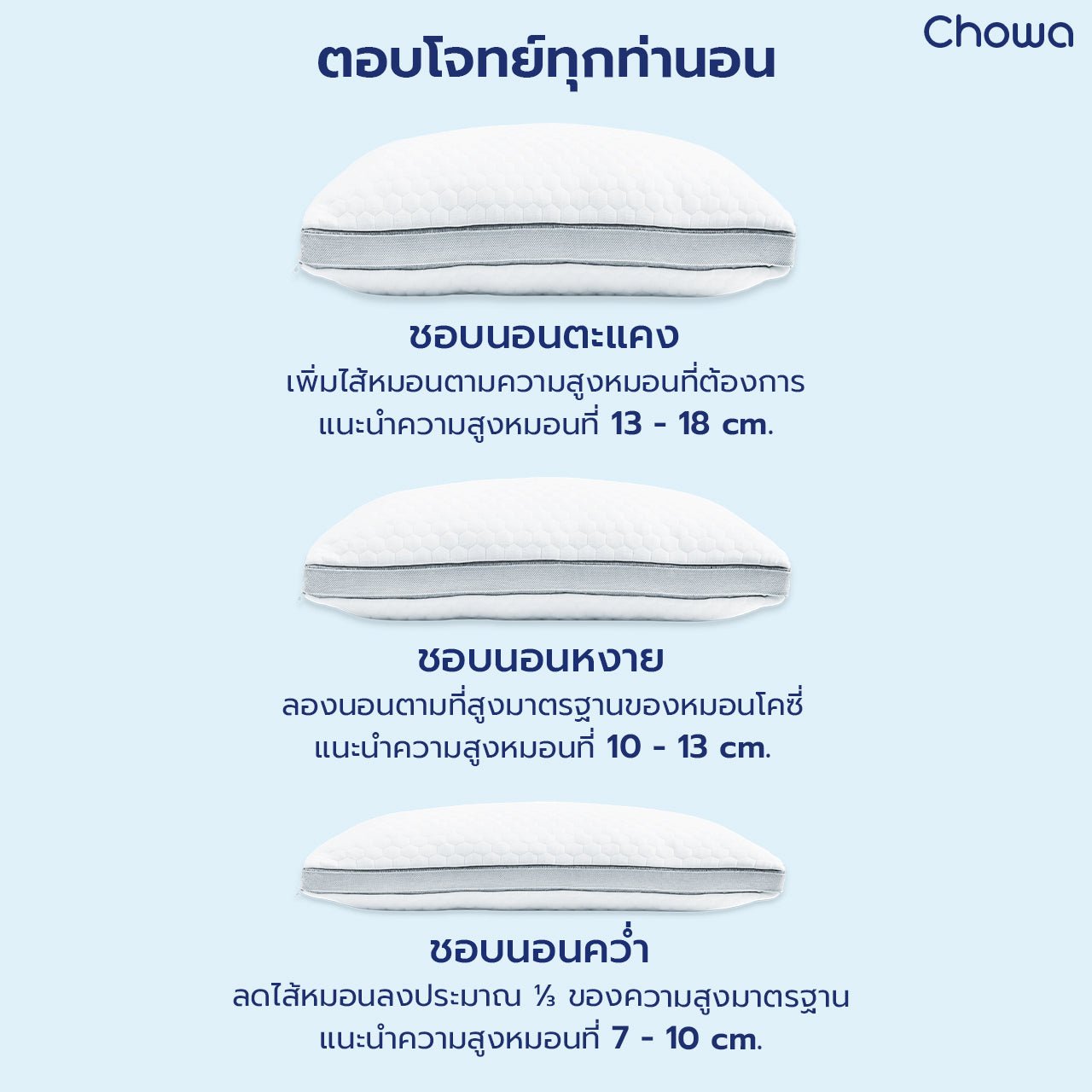 หมอนโคซี่ - Chowa