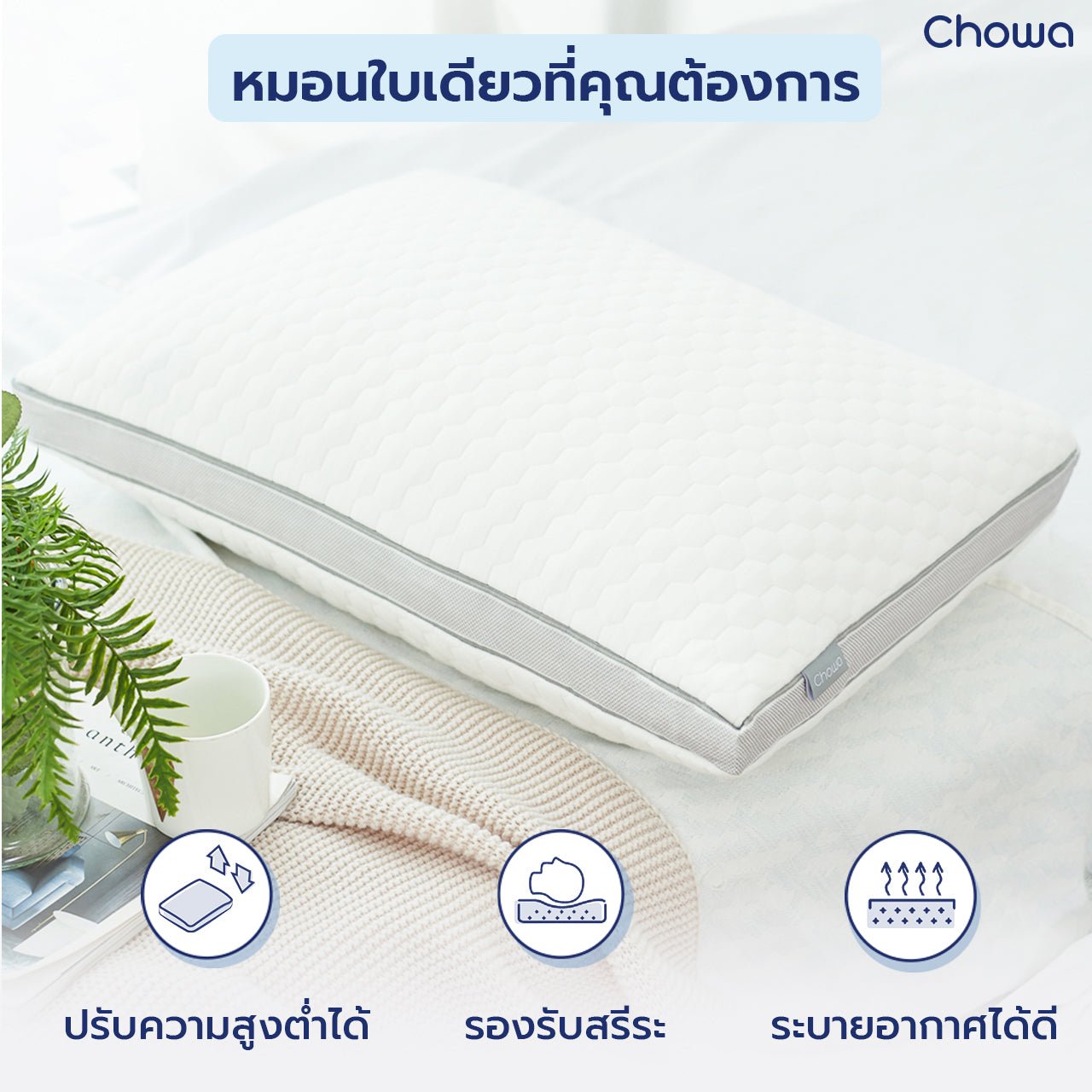 หมอนโคซี่ - Chowa