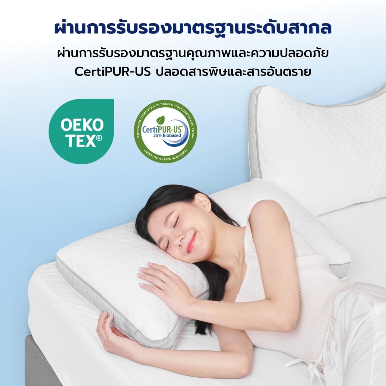 หมอนลูน่า - Chowa