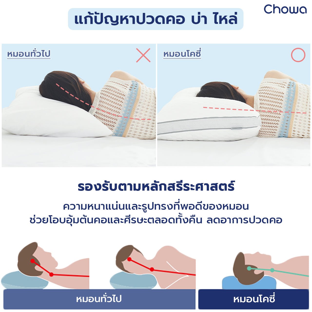 หมอนโคซี่ - Chowa