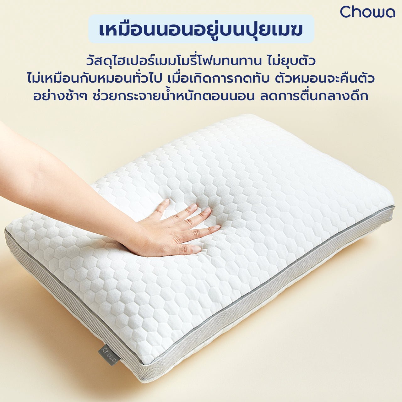 หมอนโคซี่ - Chowa