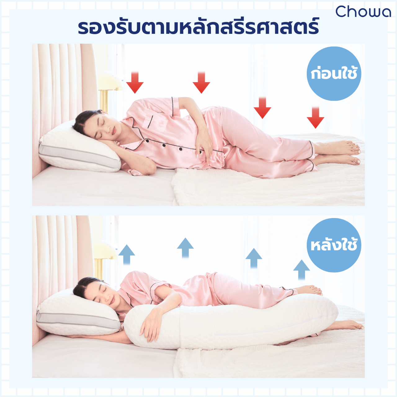 หมอนคนท้อง - Chowa