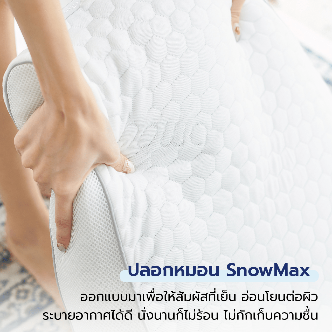 หมอนพิงหลังสลบเหมือด - Chowa