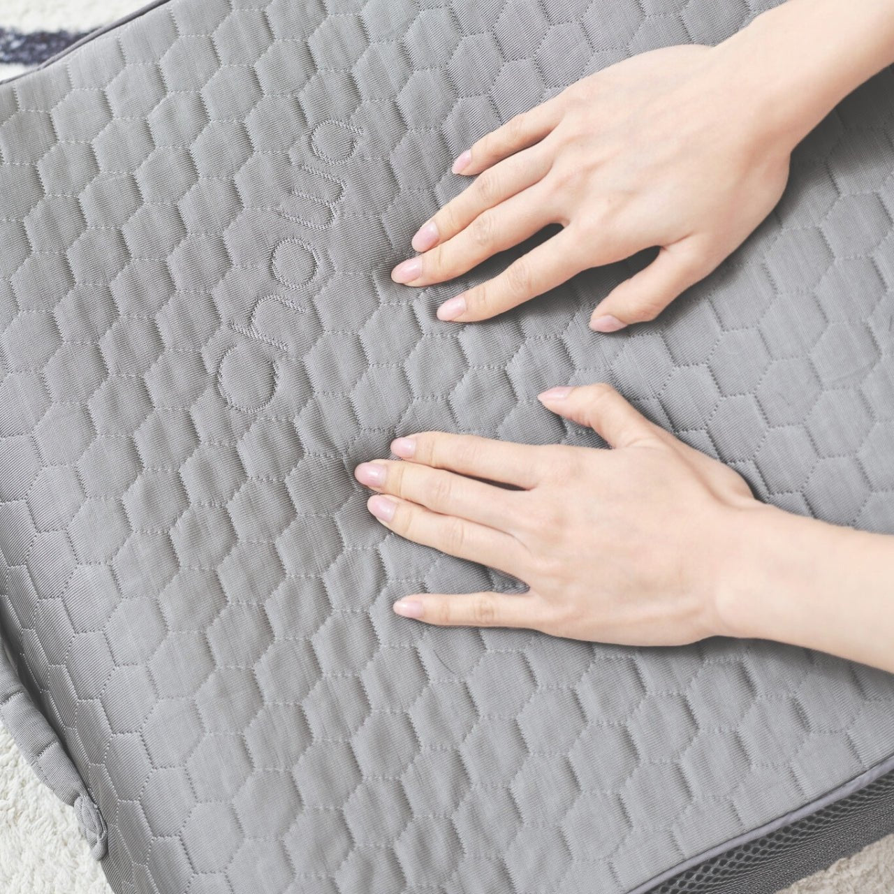 ปลอกหมอนพิงหลัง SitWell SnowMax - Chowa