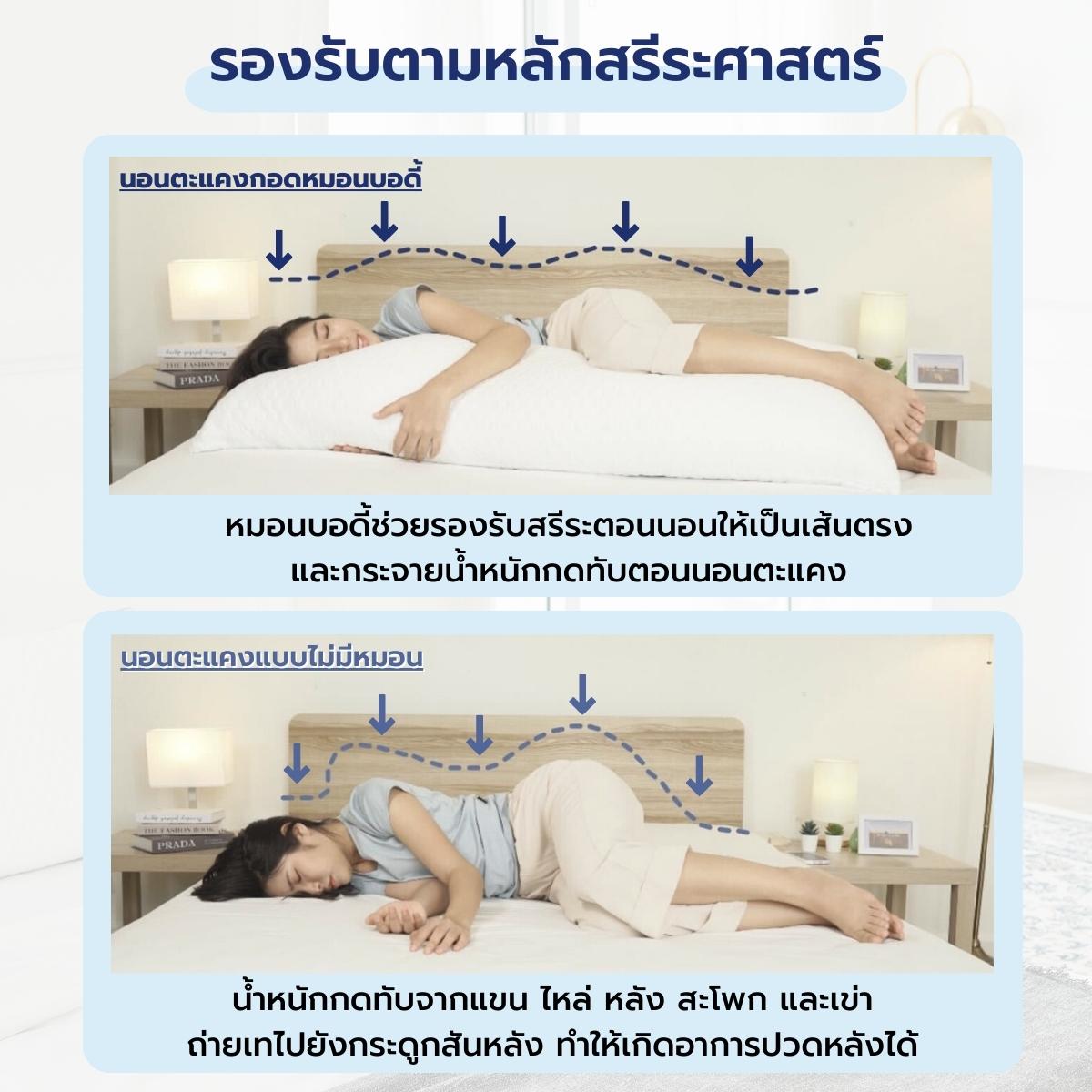 หมอนบอดี้ Body Pillow - Chowa
