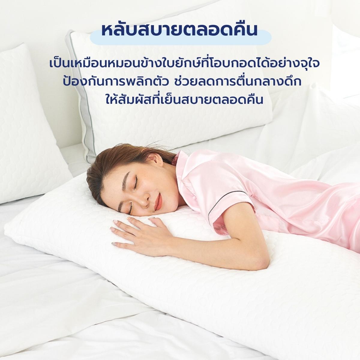 หมอนบอดี้ Body Pillow - Chowa