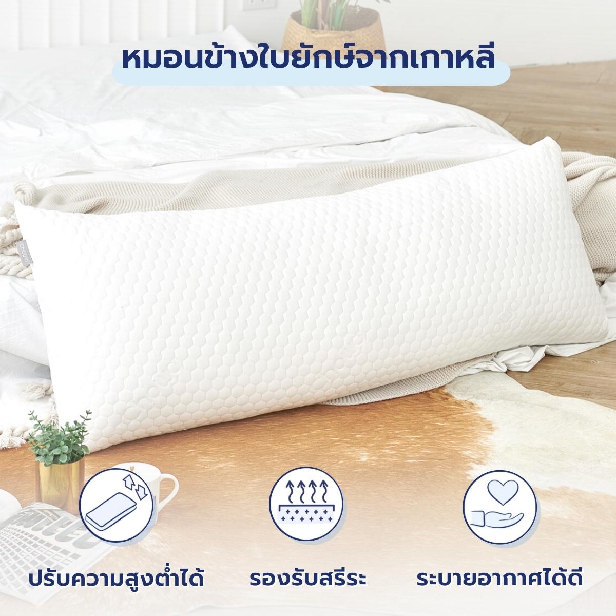 หมอนบอดี้ Body Pillow - Chowa