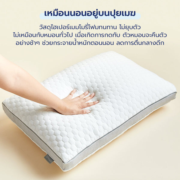 หมอนโคซี่ Cozy Pillow - Chowa