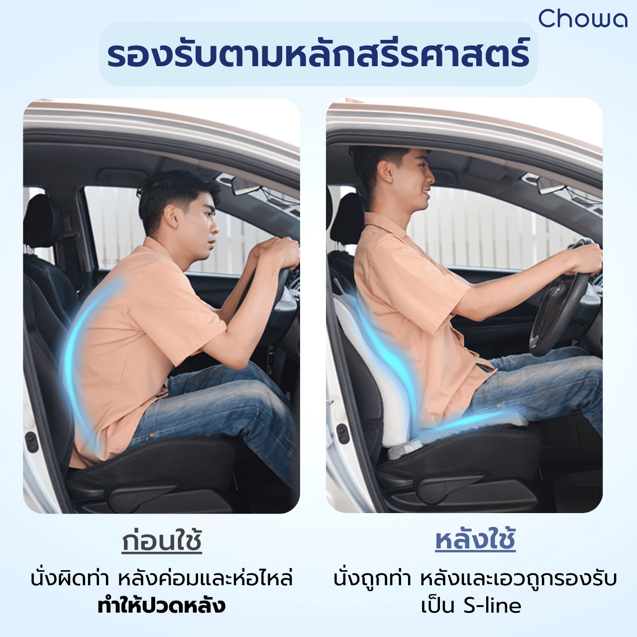 เบาะรองหลังรุ่น Firm - Chowa