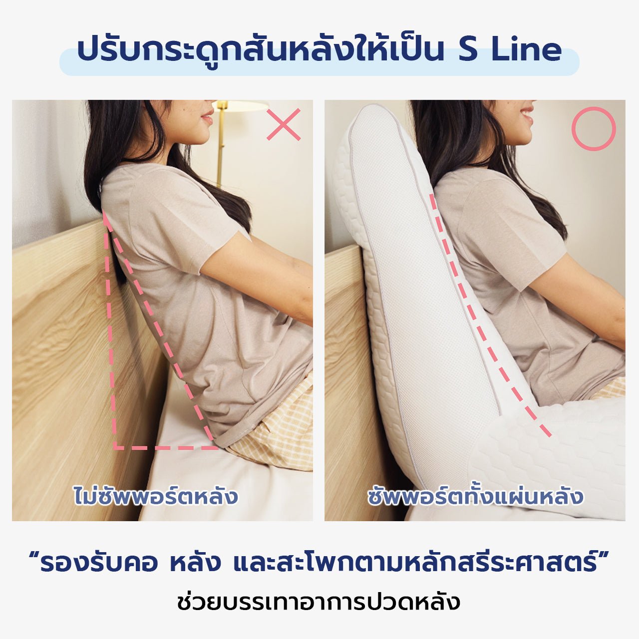 หมอนพิงหลังสลบเหมือด Swoon Back Pillow - Chowa