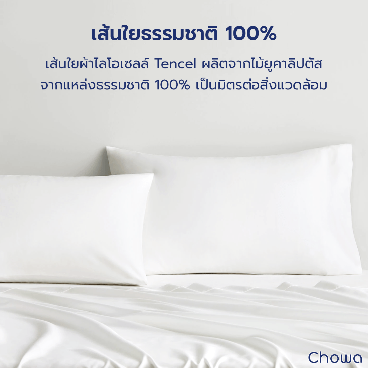 ปลอกหมอน Tencel Lyocell - Chowa